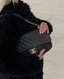 Chanel Shiva Medium Lambskin Black GHW