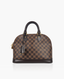 Louis Vuitton Alma PM Damier Ebene
