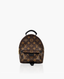 Louis Vuitton Palm Springs Monogram PM