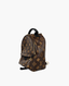 Louis Vuitton Palm Springs Monogram PM