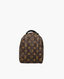 Louis Vuitton Palm Springs Monogram PM