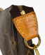 Louis Vuitton Pochette Accessoires Monogram