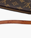 Louis Vuitton Pochette Accessoires Monogram