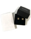 Chanel CC Champagne Earrings