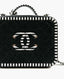 Chanel Caviar Quilted Striped Medium CC Filigree Vanity Case Black White