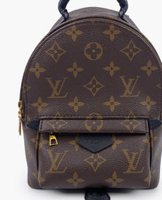 Louis Vuitton Palm Springs Mini Monogram