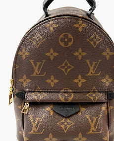 Louis Vuitton Palm Springs Mini Monogram