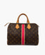 Louis Vuitton Speedy 30 Monogram