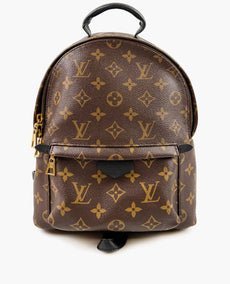 Louis Vuitton Palm Springs Backpack PM Monogram