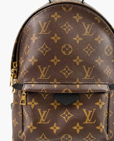 Louis Vuitton Palm Springs Backpack PM Monogram