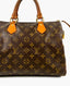 Louis Vuitton Speedy 30 Monogram