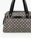 Louis Vuitton Gray Monogram Mini Lin Josephine PM