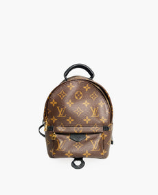 Louis Vuitton Mini Palm Springs Monogram