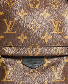 Louis Vuitton Mini Palm Springs Monogram