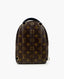 Louis Vuitton Palm Springs Mini Monogram