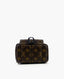 Louis Vuitton Palm Springs Mini Monogram