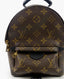 Louis Vuitton Palm Springs Mini Monogram