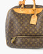 Louis Vuitton Monogram Evasion Bag