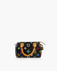 Louis Vuitton Nano Speedy Multicolor