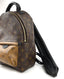 Louis Vuitton Palm Springs Backpack PM Monogram