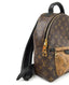 Louis Vuitton Palm Springs Backpack PM Monogram