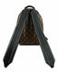 Louis Vuitton Palm Springs Backpack PM Monogram