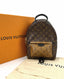 Louis Vuitton Palm Springs Backpack PM Monogram