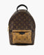 Louis Vuitton Palm Springs Backpack PM Monogram