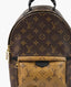 Louis Vuitton Palm Springs Backpack PM Monogram