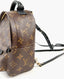 Louis Vuitton Palm Springs Mini Monogram