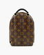 Louis Vuitton Palm Springs Mini Monogram