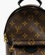 Louis Vuitton Palm Springs Mini Monogram