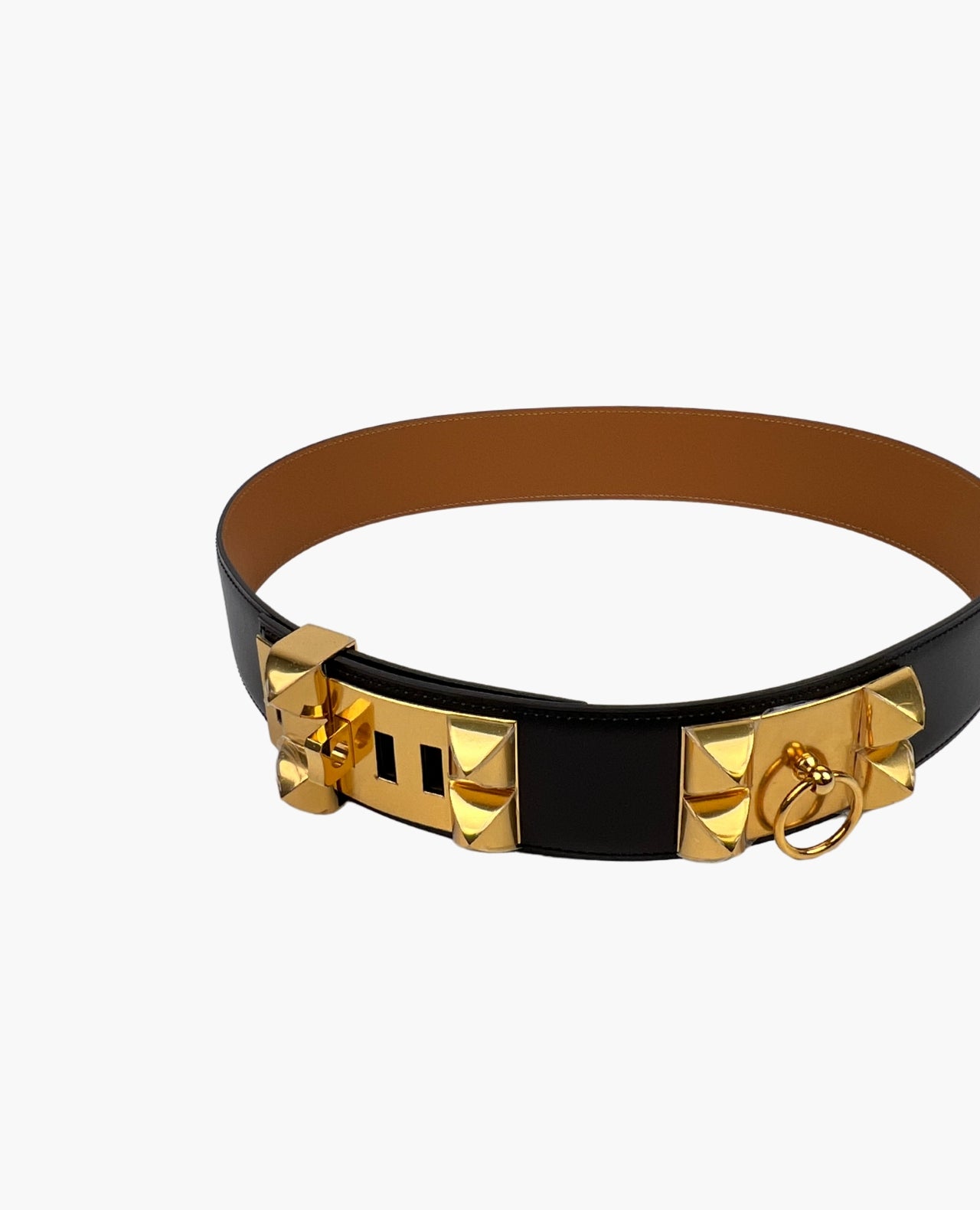 Collier de chien belt hotsell