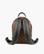 Louis Vuitton Palm Springs Backpack Monogram PM