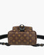 Louis Vuitton Palm Springs Backpack Monogram PM