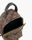 Louis Vuitton Palm Springs Backpack Monogram PM