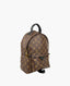 Louis Vuitton Palm Springs Backpack Monogram PM