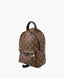 Louis Vuitton Palm Springs Backpack Monogram PM