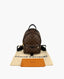 Louis Vuitton Palm Springs Backpack Monogram PM