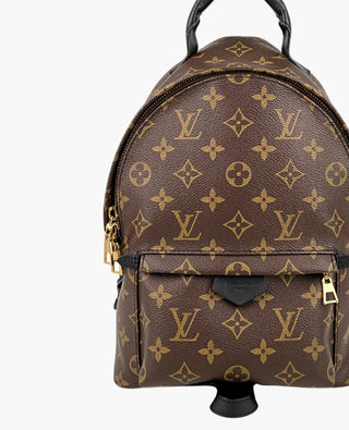 Louis Vuitton Palm Springs Backpack Monogram PM