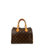 Louis Vuitton Speedy Monogram 25