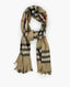 Burberry Classic Brown Shawl