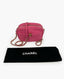 Chanel Trip Camera Case Pink Leather Bag