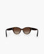 Chanel Brown Havana Classic Sunglasses