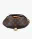 Louis Vuitton Bum Bag Monogram